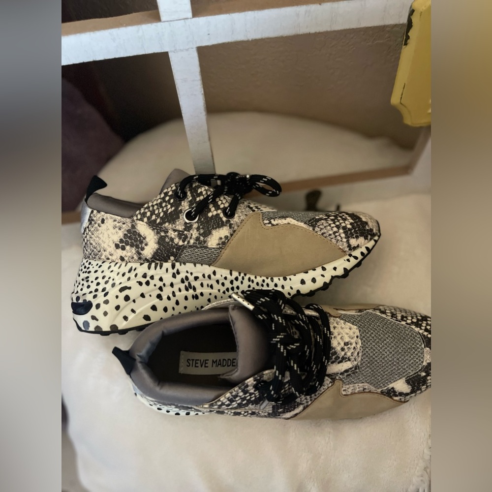 Steve Madden Cliff Sneakers
